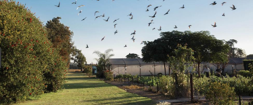 1042509381.jpg 5.jpg