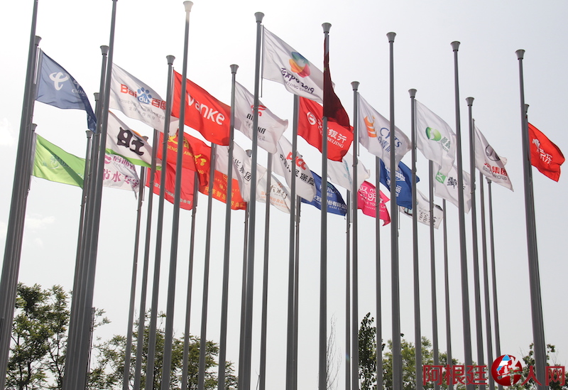 1619579365.jpg IMG_3462.JPG