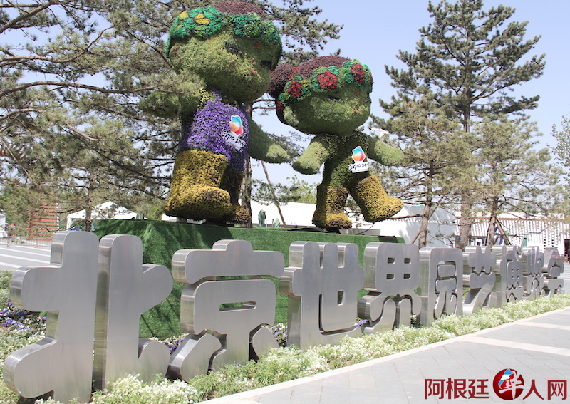 1654214787.jpg IMG_3372.JPG