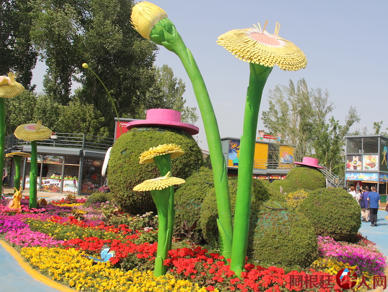 1673700565.jpg IMG_3453.JPG