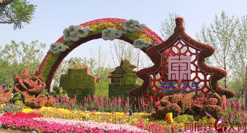 1698592204.jpg IMG_3450.JPG