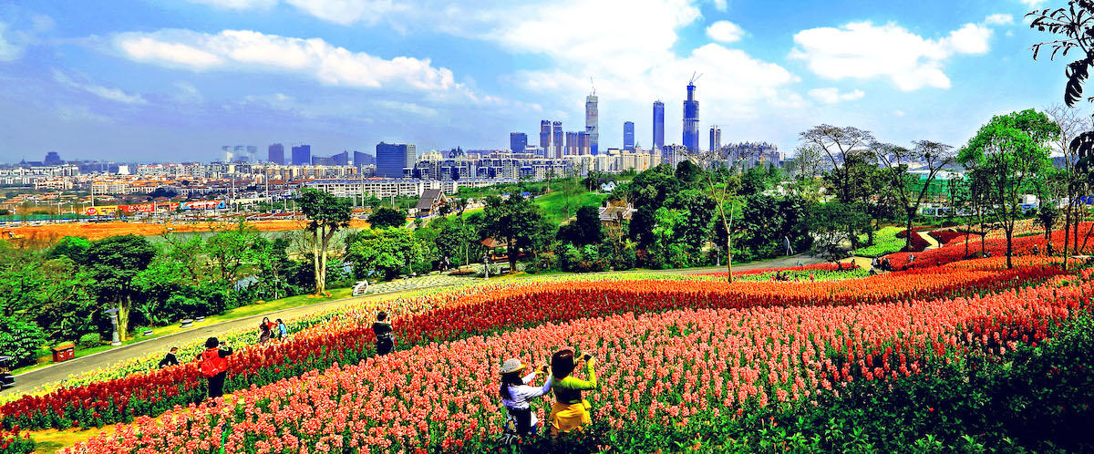 1854334302.jpg IMG_1803.JPG