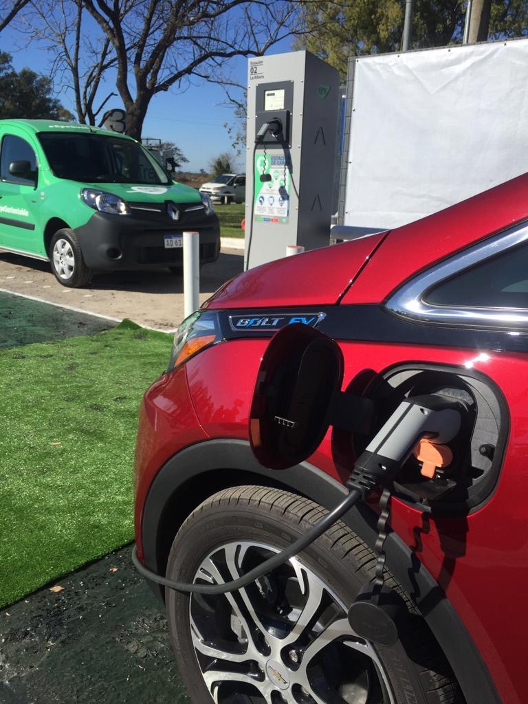 2592305763.jpeg D21303BF-6D34-4258-9DBF-3130C18E12B8.jpeg