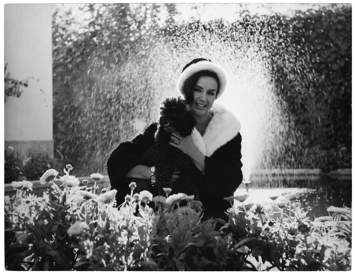 2640485935.jpg 32.jpg