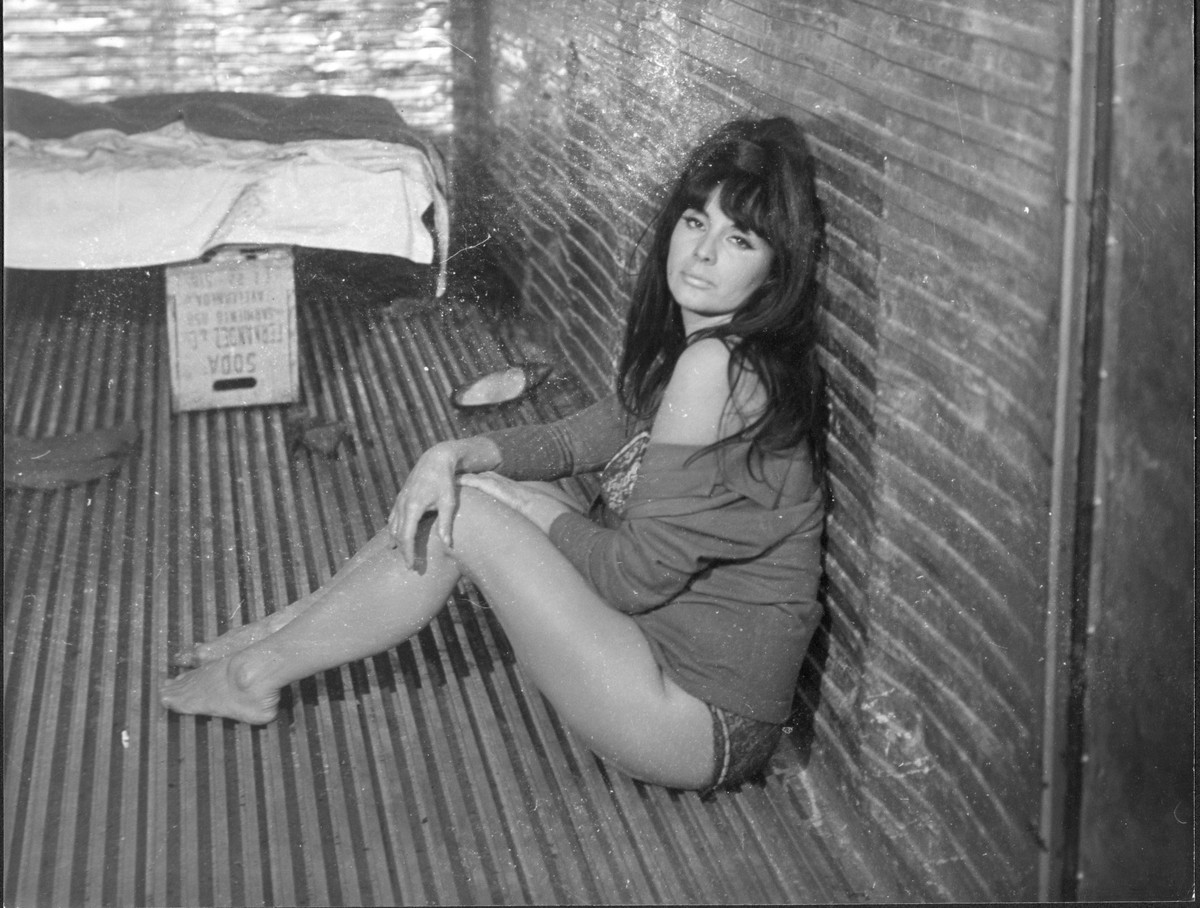 2663203880.jpg 31.jpg