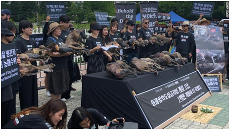 1547054141.png 2019%2F07%2F14%2Fef4e47da169d4da7b59a87efbc4f906d.png