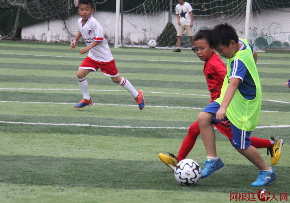 2774468042.jpg IMG_5942.JPG