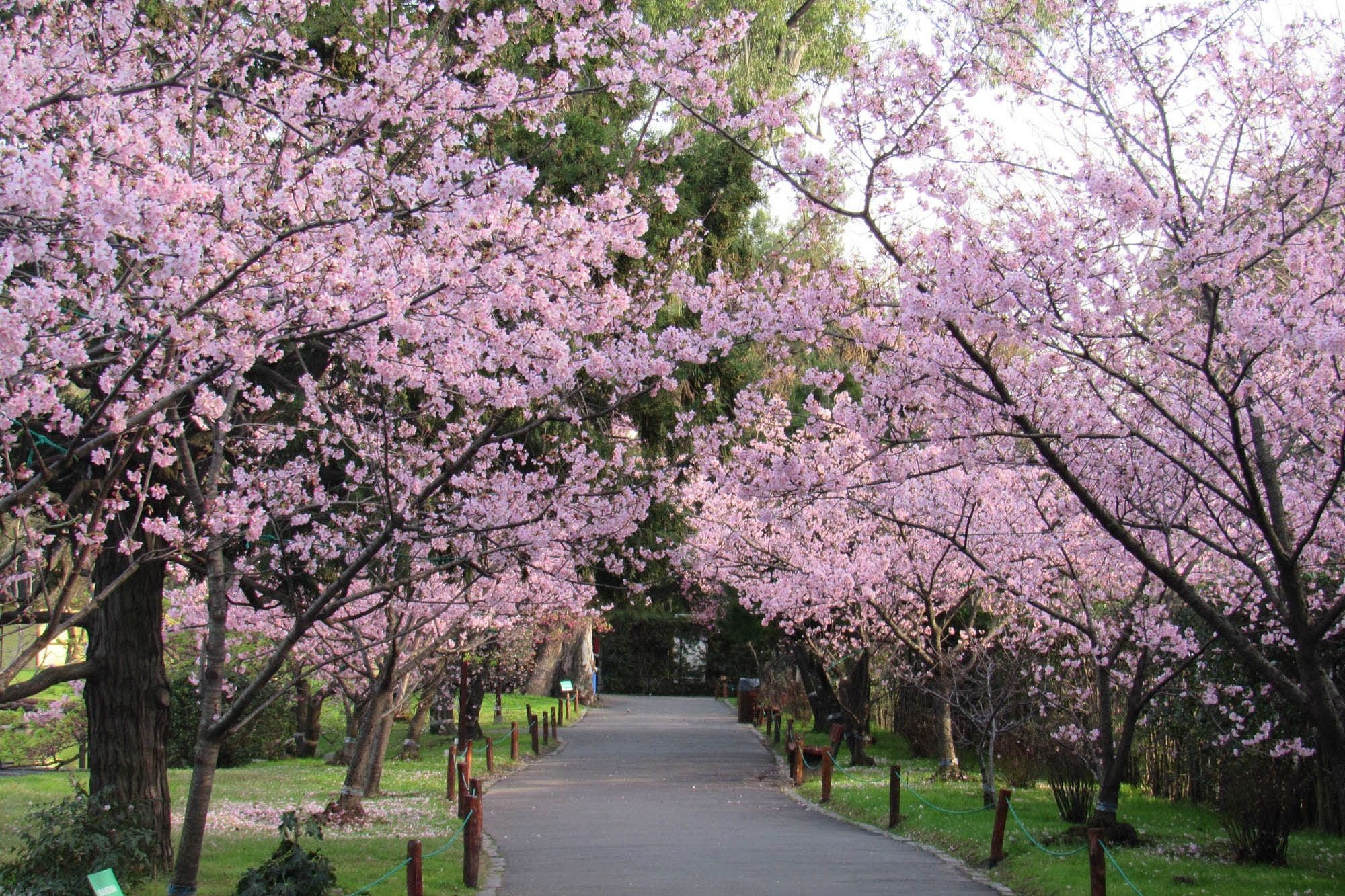 0113788920.jpg 2742928.jpg