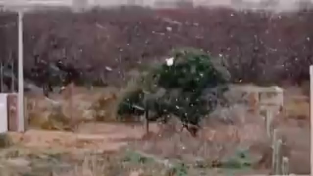 屏幕快照 2019-08-19 下午11.42.38.jpg