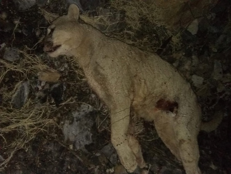 2179090967.jpg 42.jpg