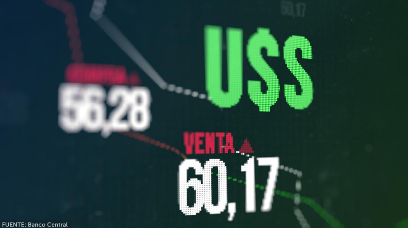 2983103548.jpg 31.jpg