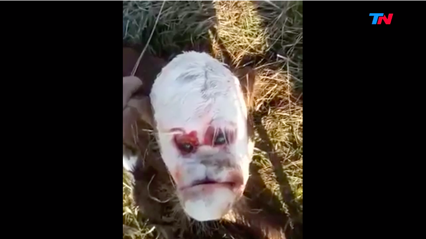 屏幕快照 2019-09-09 上午5.43.28.png