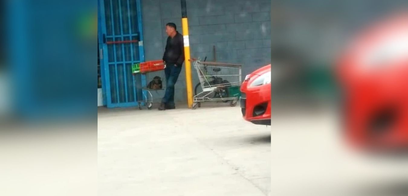 1234064355.jpg 1568236380722.jpg