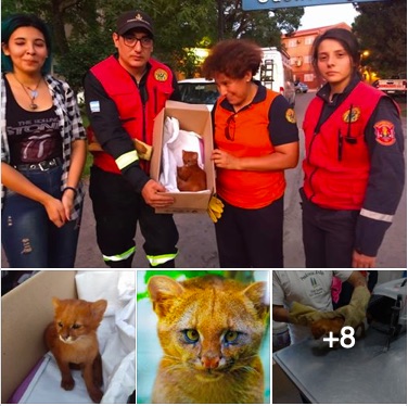 屏幕快照 2019-11-16 下午11.10.17.jpg