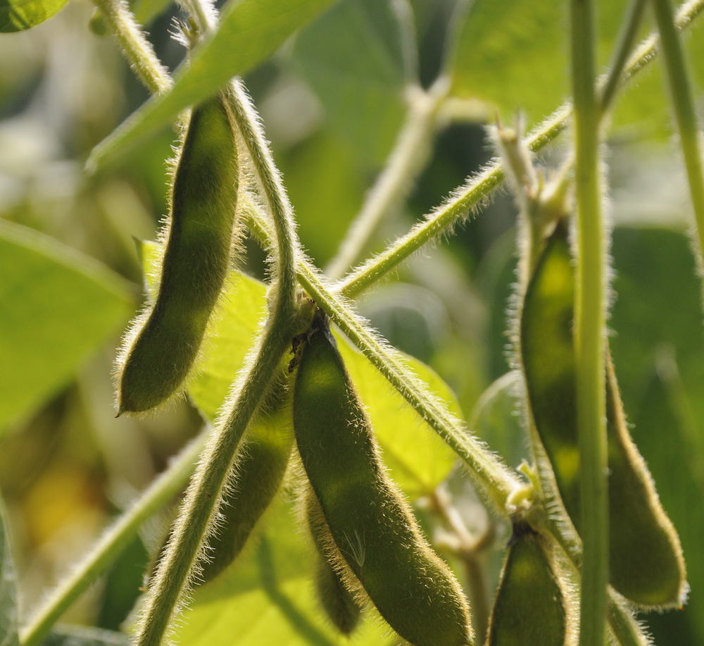 3187932104.jpg _DSC1181.JPG