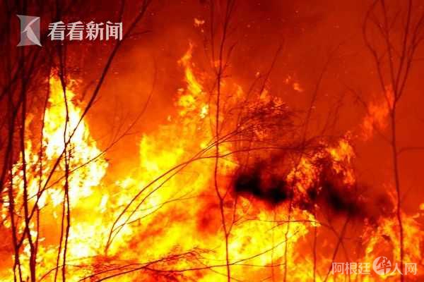 2020%2F0104%2F0fd66a76j00q3kopc000sc000go00b4c