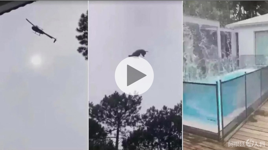 屏幕快照 2020-01-16 上午5.43.08