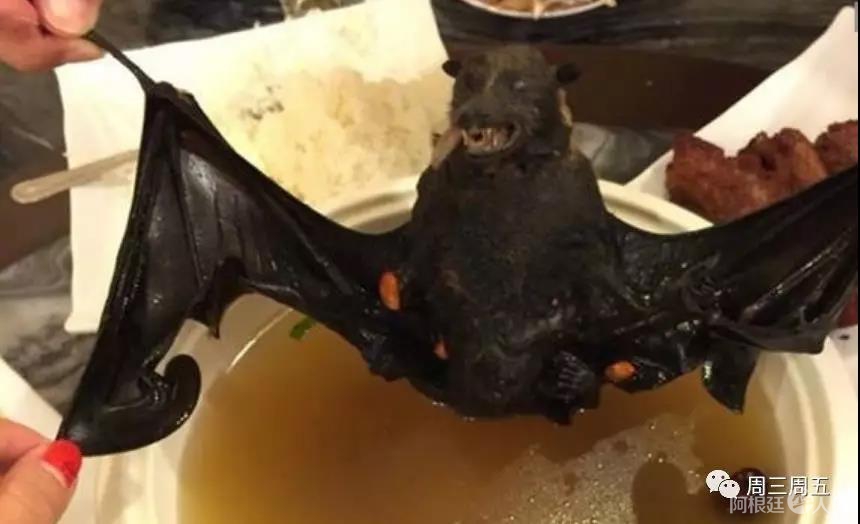 微信图片_20200211233725