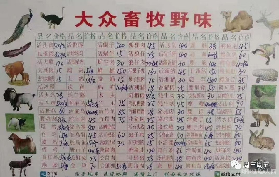 微信图片_20200211233732