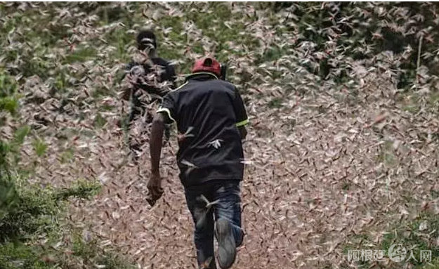 微信图片_20200212220131