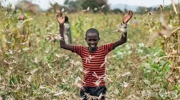 微信图片_20200212220156