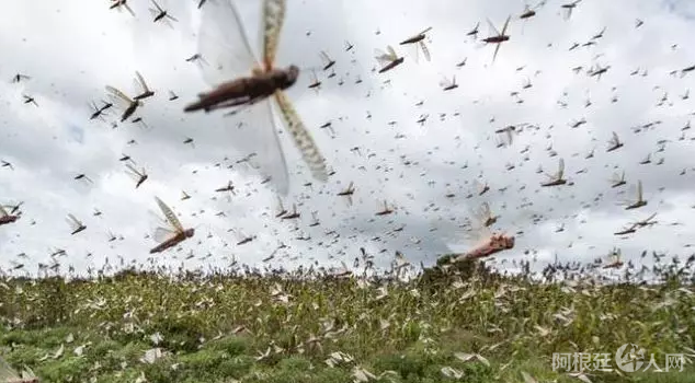 微信图片_20200212220220