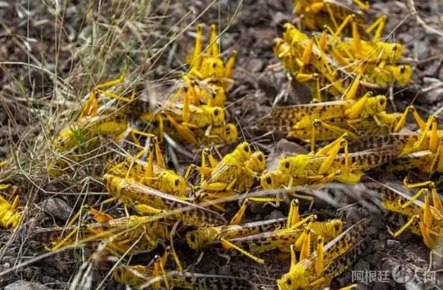 微信图片_20200212220244