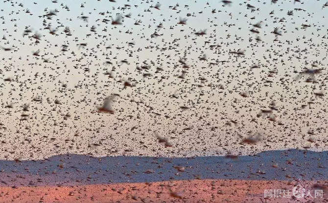 微信图片_20200212220306