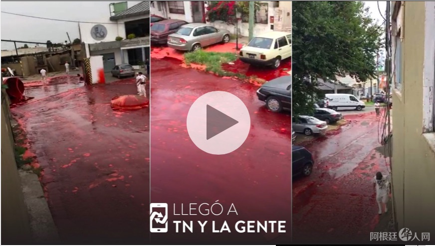 屏幕快照 2020-03-11 上午5.04.29