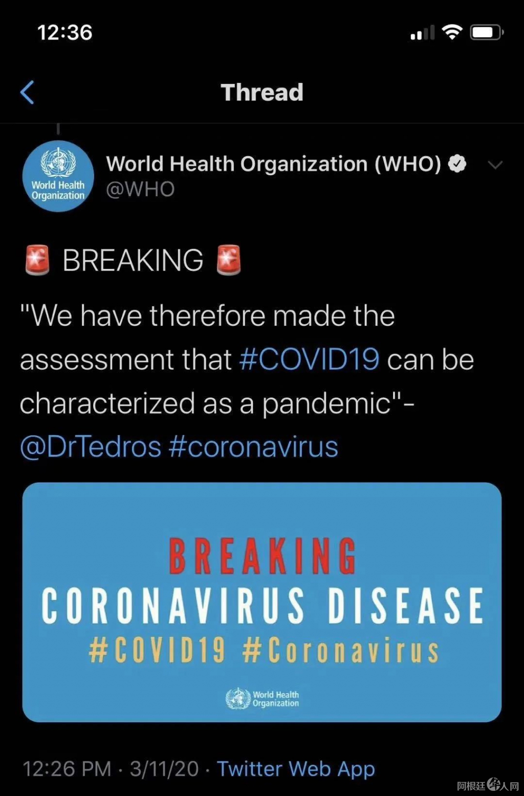 微信图片_20200311211628 微信图片_20200311211628