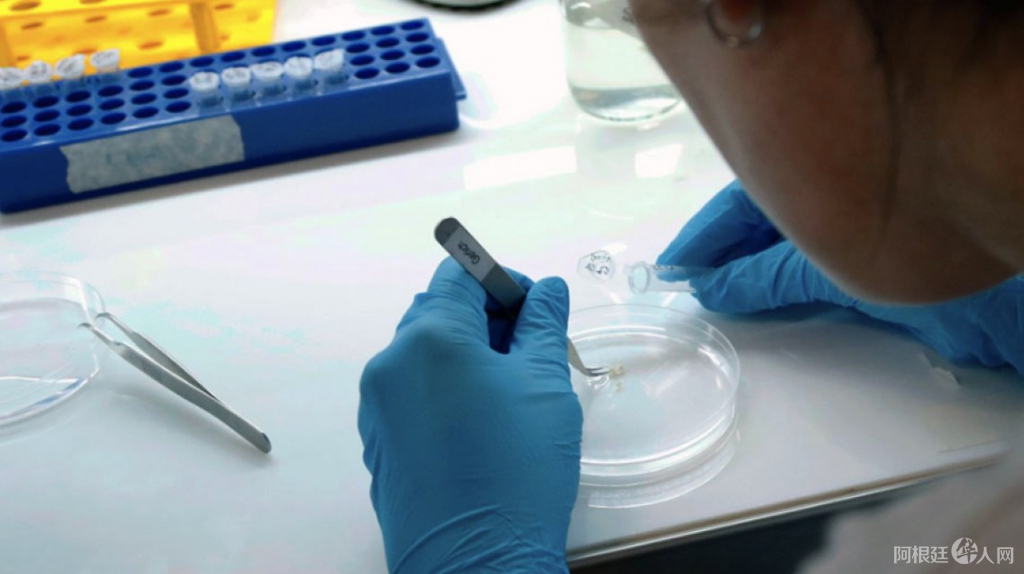 0037478278 0037478278