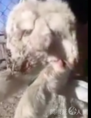 屏幕快照 2020-06-02 上午1.47.27