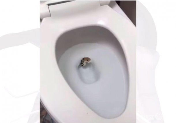 0037782234 0037782234