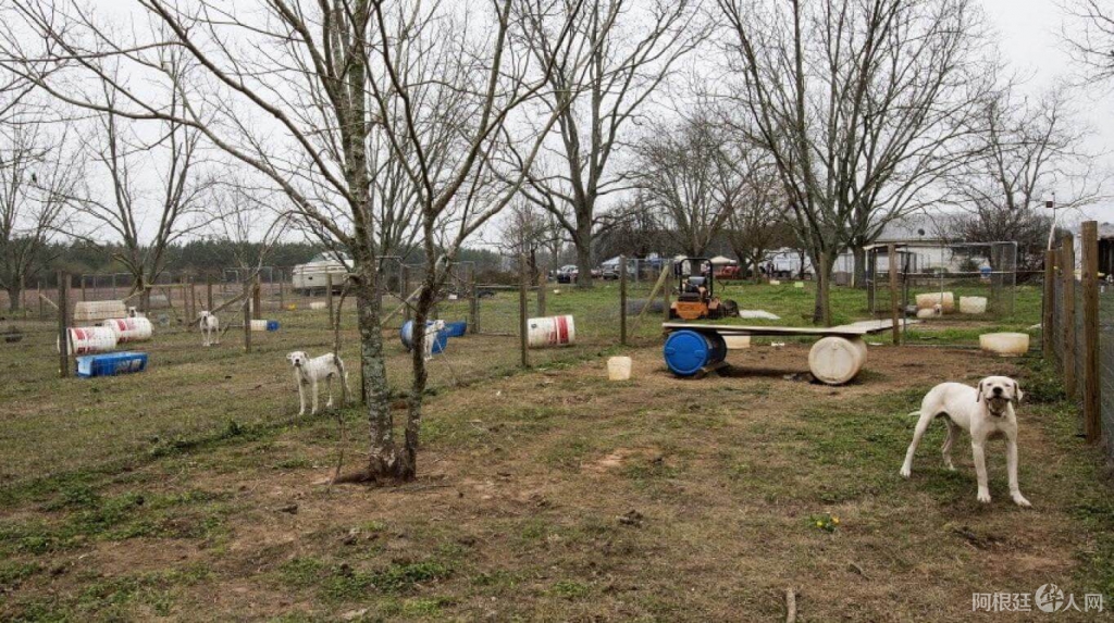 whatsapp_image_2020-07-01_at_9.52.13_am whatsapp_image_2020-07-01_at_9.52.13_am