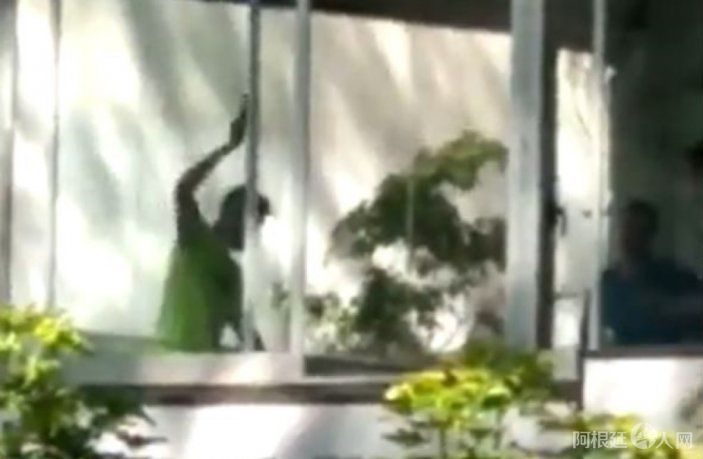 la-situacion-fue-captada-video-una-persona-que-lo-vio-la-calle la-situacion-fue-captada-video-una-persona-que-lo-vio-la-calle