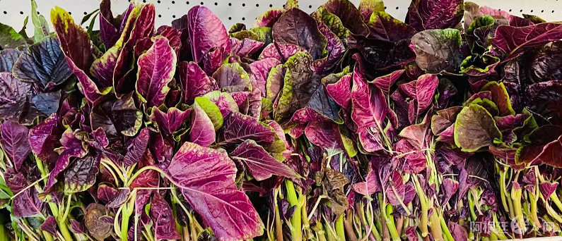 微信图片_20201208115009