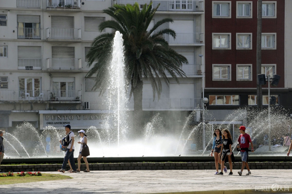 _DSC8156.JPG _DSC8156.JPG