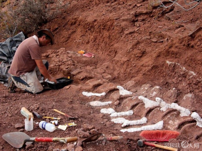 881b6dccd97c106 881b6dccd97c106