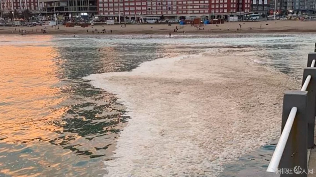 macha-agua-playa-mar-del-plata (1)