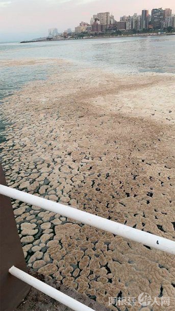 macha-agua-playa-mar-del-plata