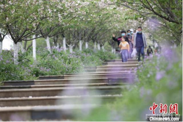 503d269759ee3d6df90fb98a706d272a4e4ade2d