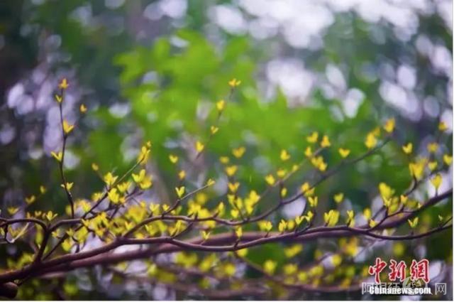 8644ebf81a4c510fea05437e5c226f25d52aa510