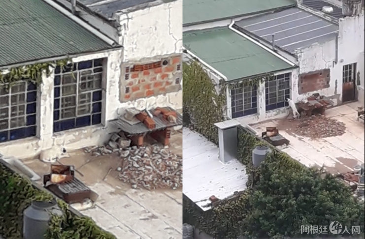 PERRO-SUPERMERCADO-CHINO-741x486 PERRO-SUPERMERCADO-CHINO-741x486