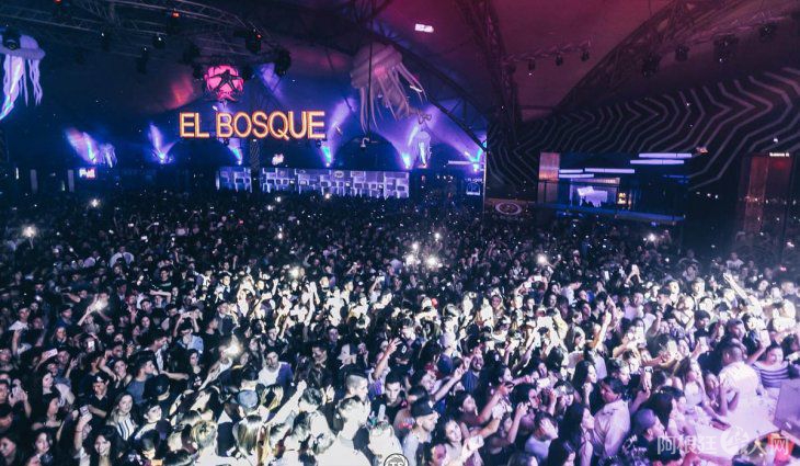 el-bosque-boliche el-bosque-boliche