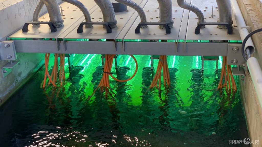 5ed779fbef42a 5ed779fbef42a