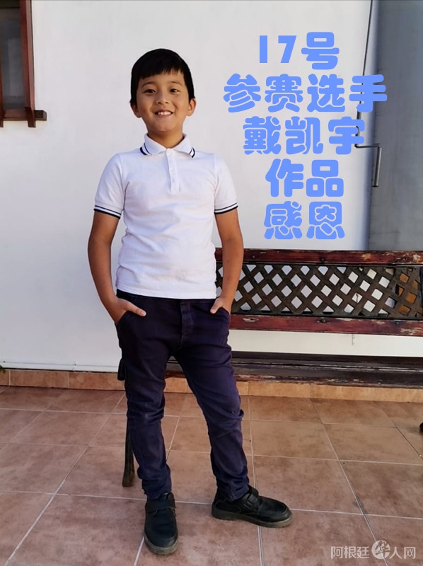 照片,17号参赛选手戴凯宇 作品 感恩_副本