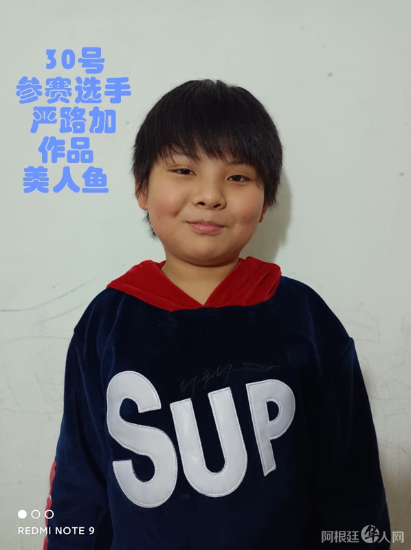 照片,30号参赛选手严路加 作品 美人鱼_副本