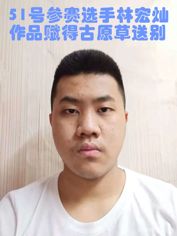 照片,51号 参赛选手林宏灿 作品 赋得古原草送别_副本