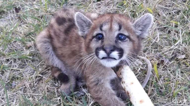 N7GMQC6HR5CAPMOOG3JVAN7PKA