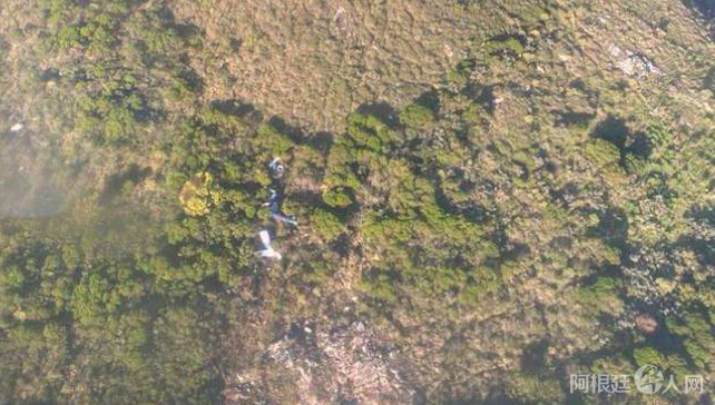 截屏2021-08-22 下午11